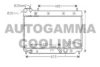 AUTOGAMMA 104263 Radiator, engine cooling